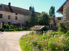 Dégustation et rencontre, La Ferme de They