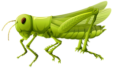 Vous reprendrez bien une larve... Pas si infects les insectes !! [découverte-dégustation]