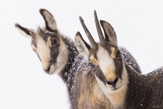 Photographies "A hauteur d'œil" par Laurent Rodrigo