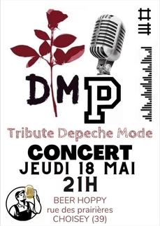 DMProject en concert