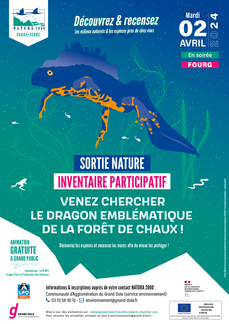 Venez chercher le dragon emblématique de la forêt de Chaux !