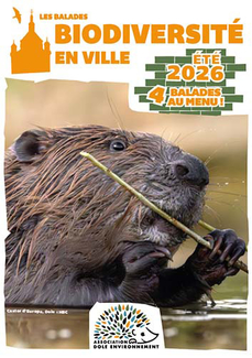 Biodiversité en ville - L'aérienne