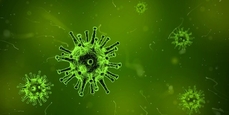 Microbes, virus, bactéries : un monde invisible
