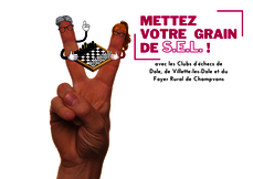 Mettez votre grain de S.E.L : avec des joueurs d'échecs