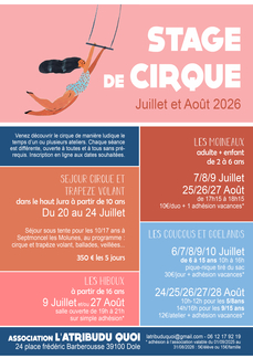Stage de cirque