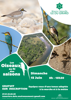 Les oiseaux au fil des saisons