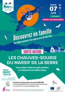 Les chauves-souris du Massif de la Serre