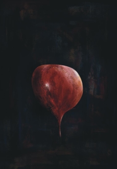 Exposition « Aurore » de Benoît Morland