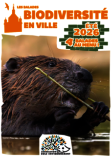 Biodiversité en ville - la Nocturne