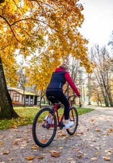 Entretien vélo