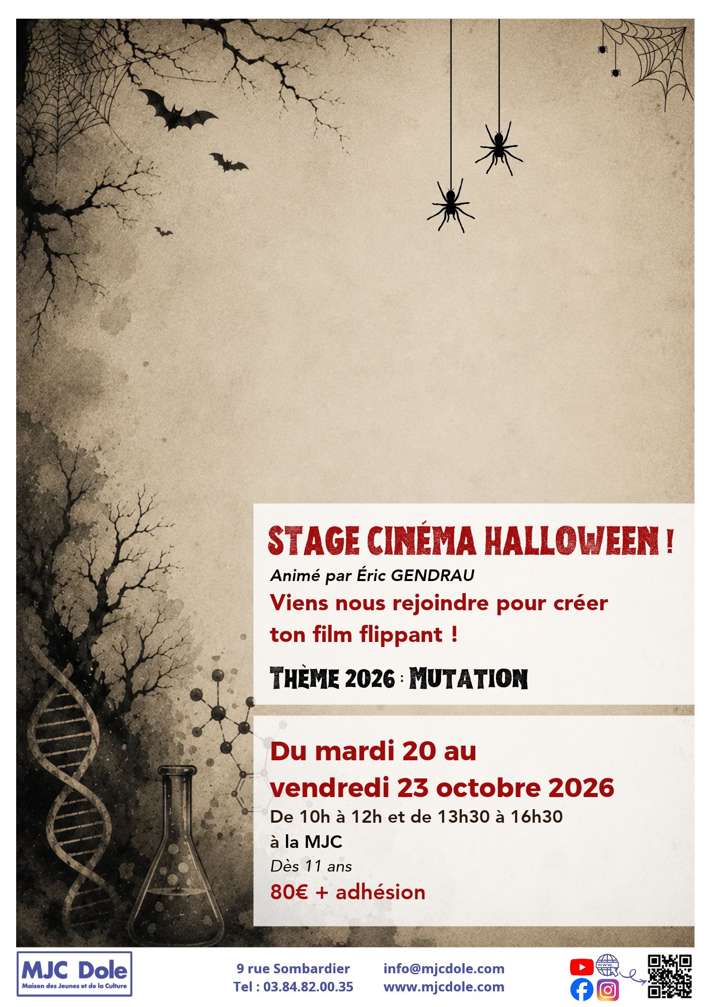 Stage cinéma halloween !