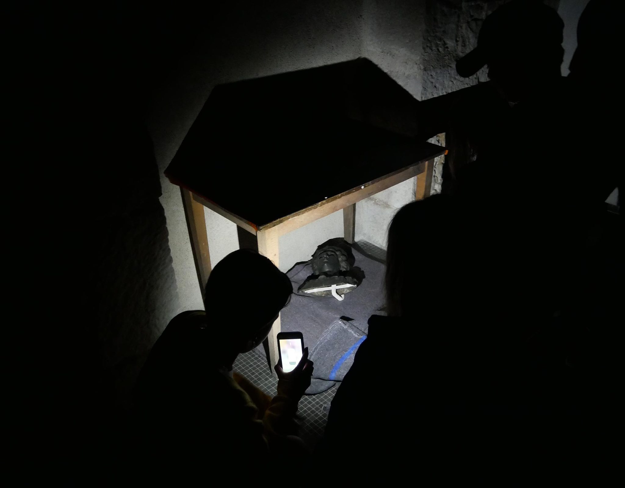 Visite thématique - Visite à la lampe torche