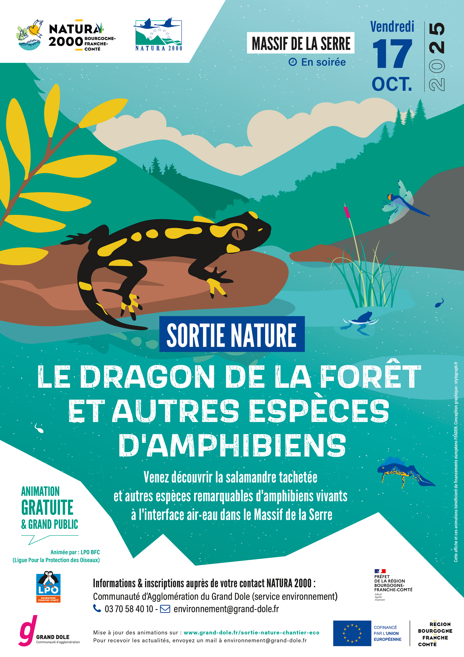 Sortie nature : salamandre tâchetée et autres amphibiens