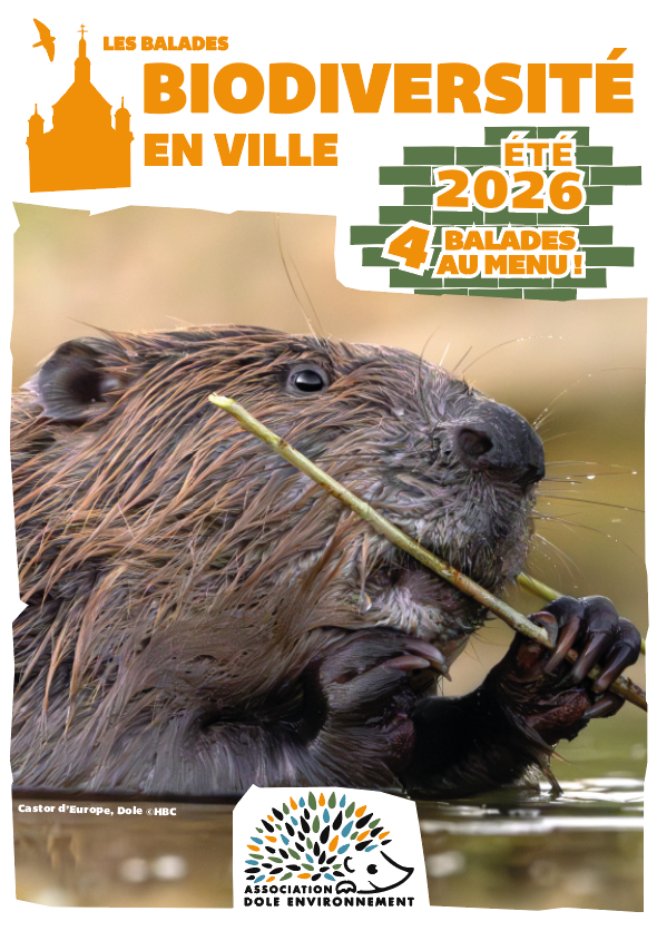 Biodiversité en ville - la Nocturne