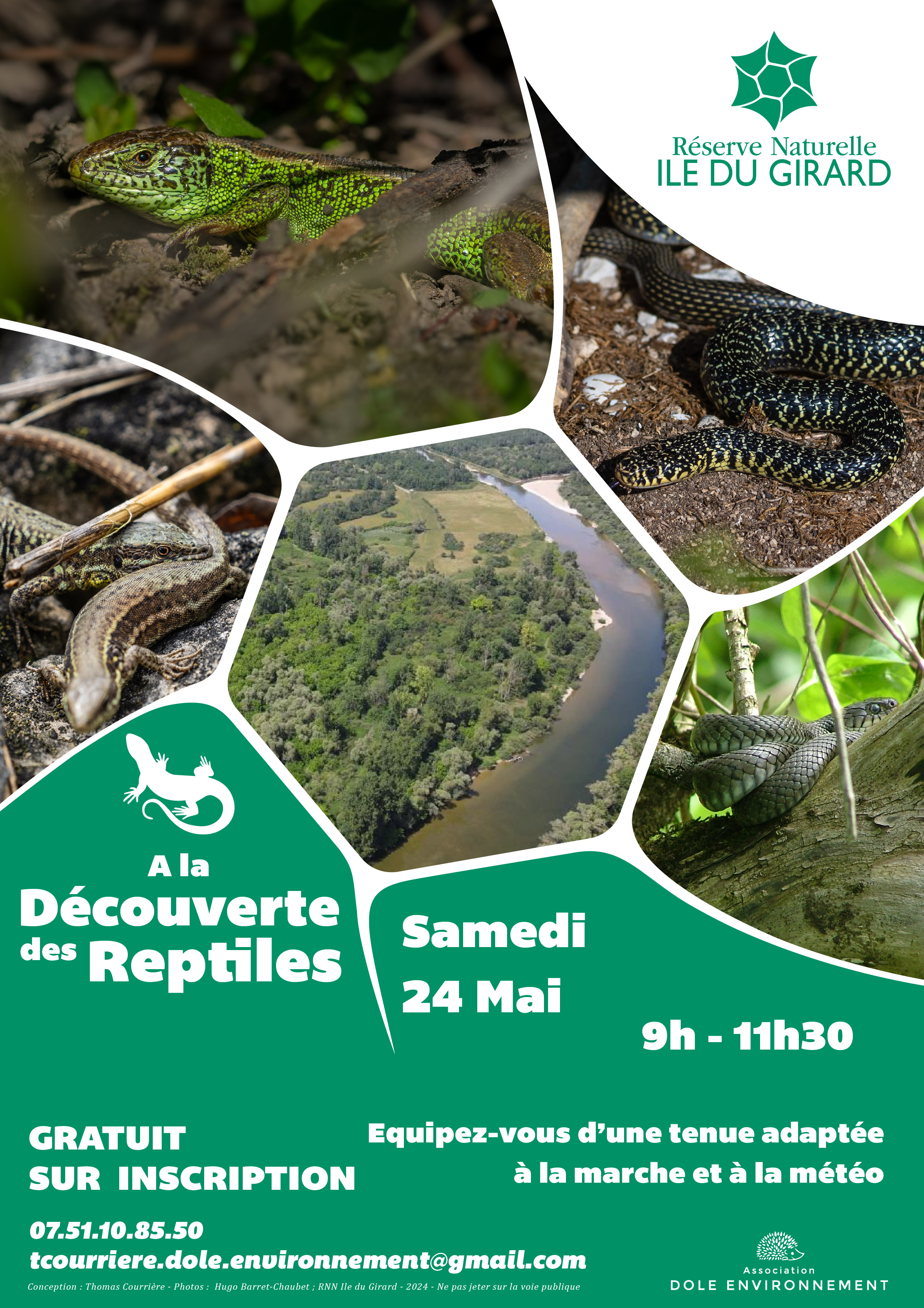 Découverte des reptiles