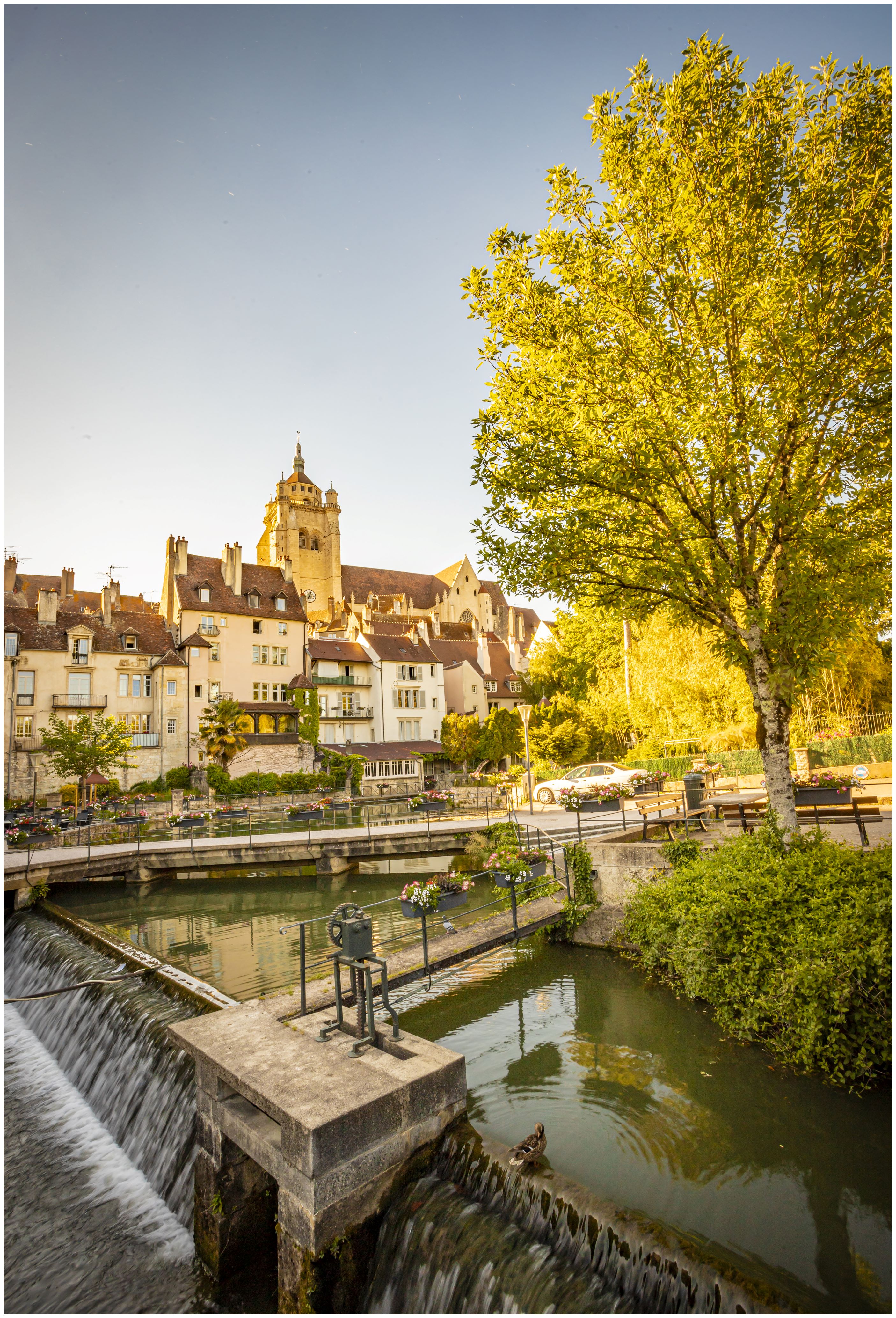 RDV Patrimoine : Vivre au bord de l'eau du Moyen-âge au XVIIIème siècle