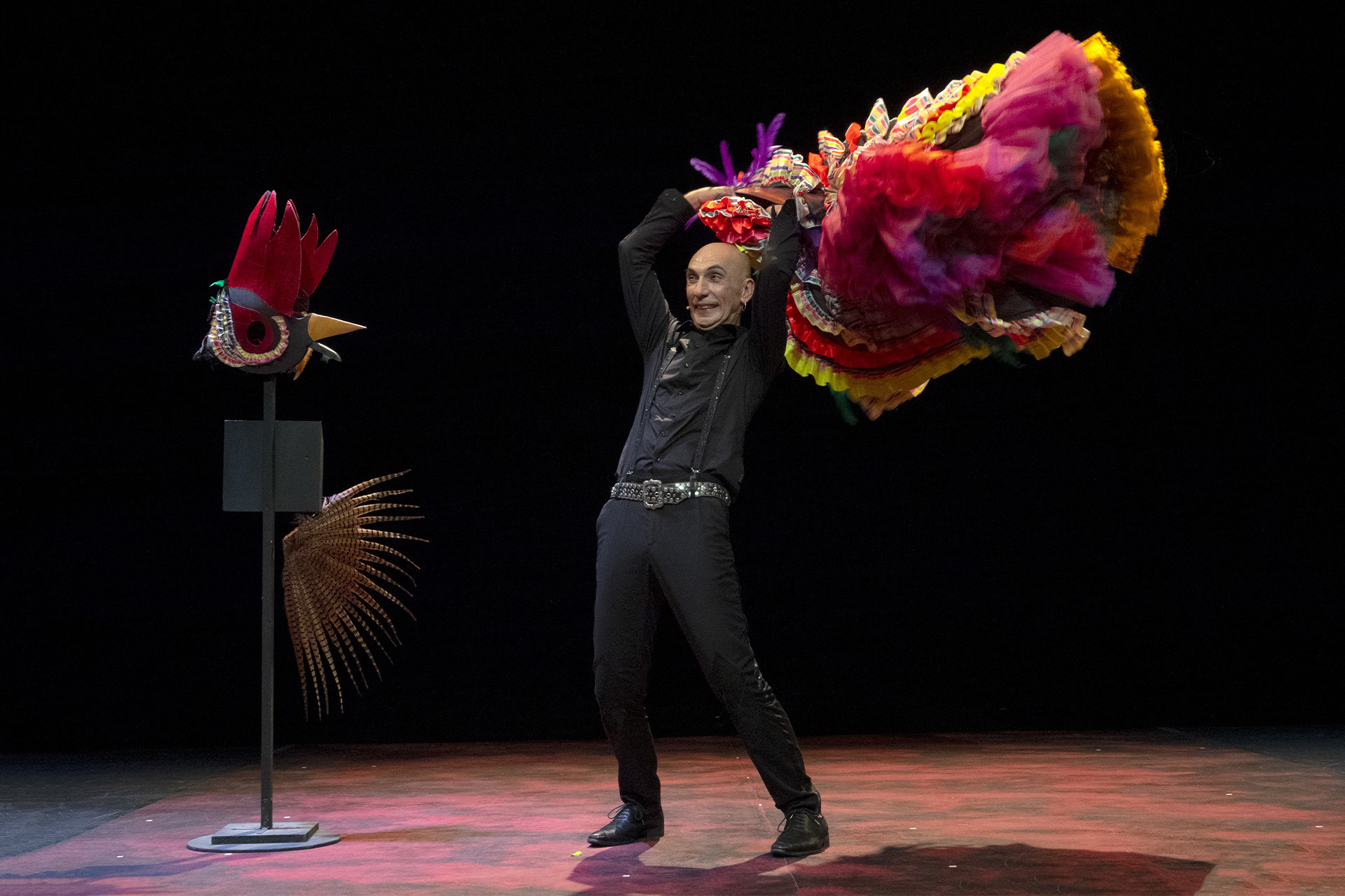 La fabuleuse histoire d'Edmond Rostand