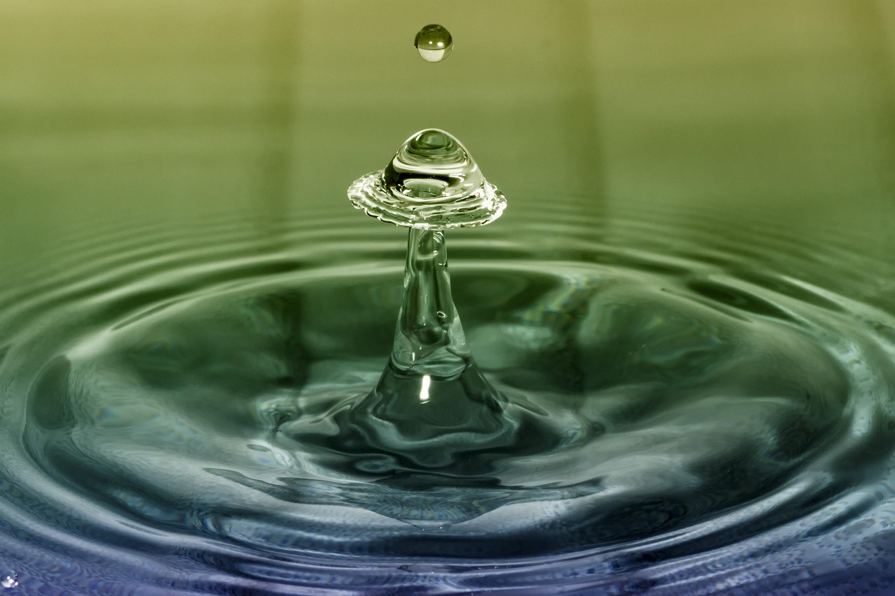 Atelier famille: Jeux d'eau