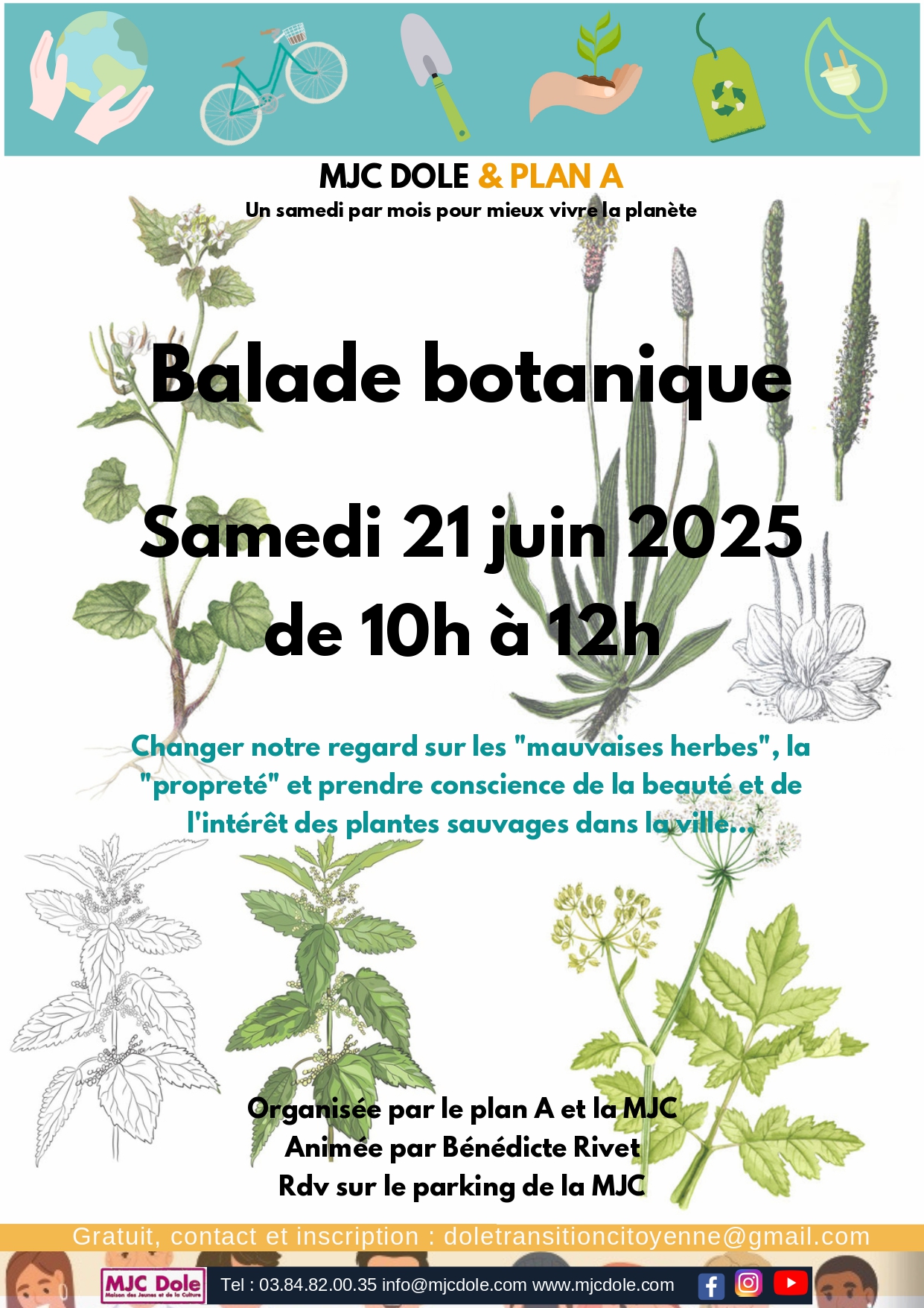Balade botanique