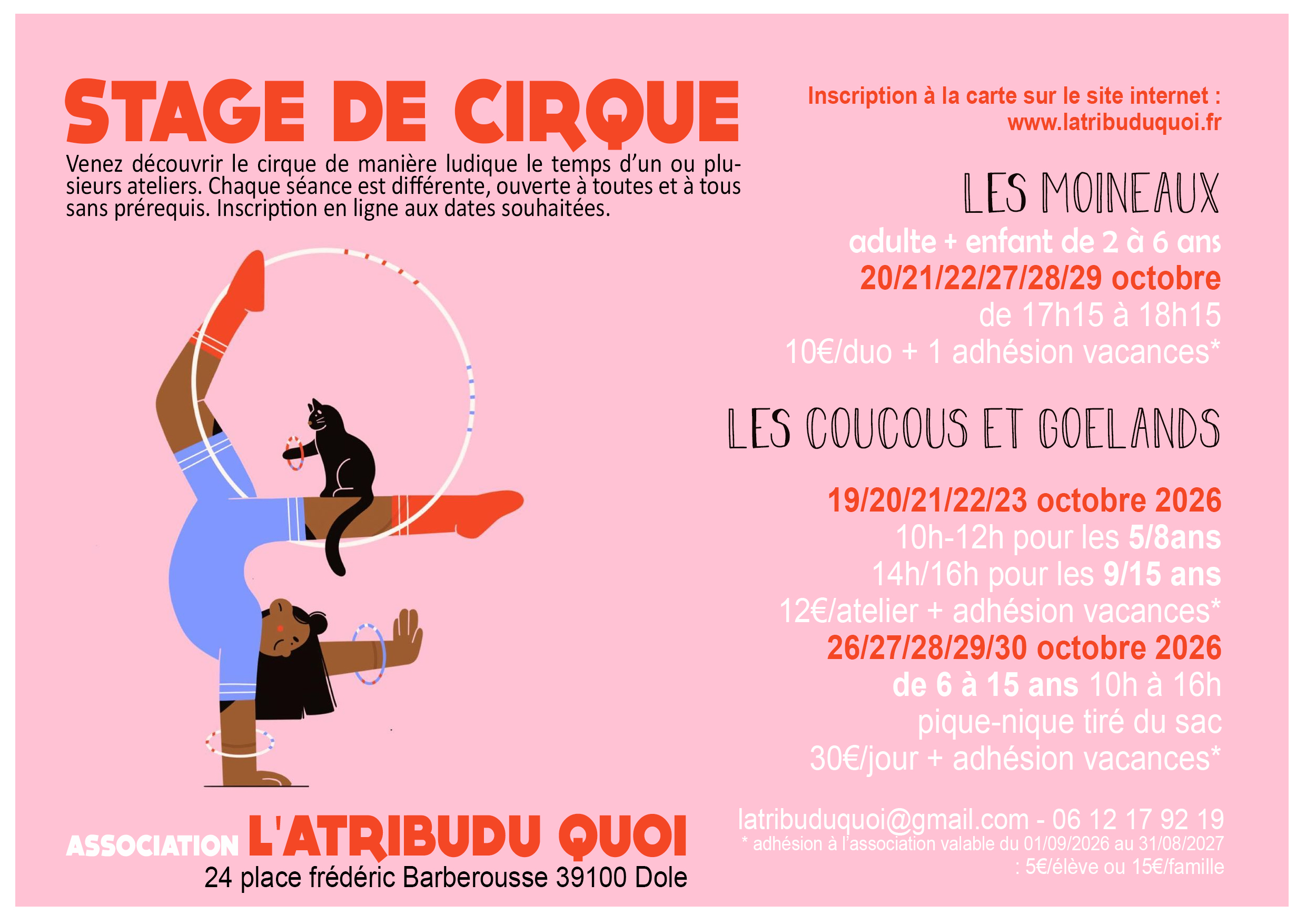 Stages de cirque