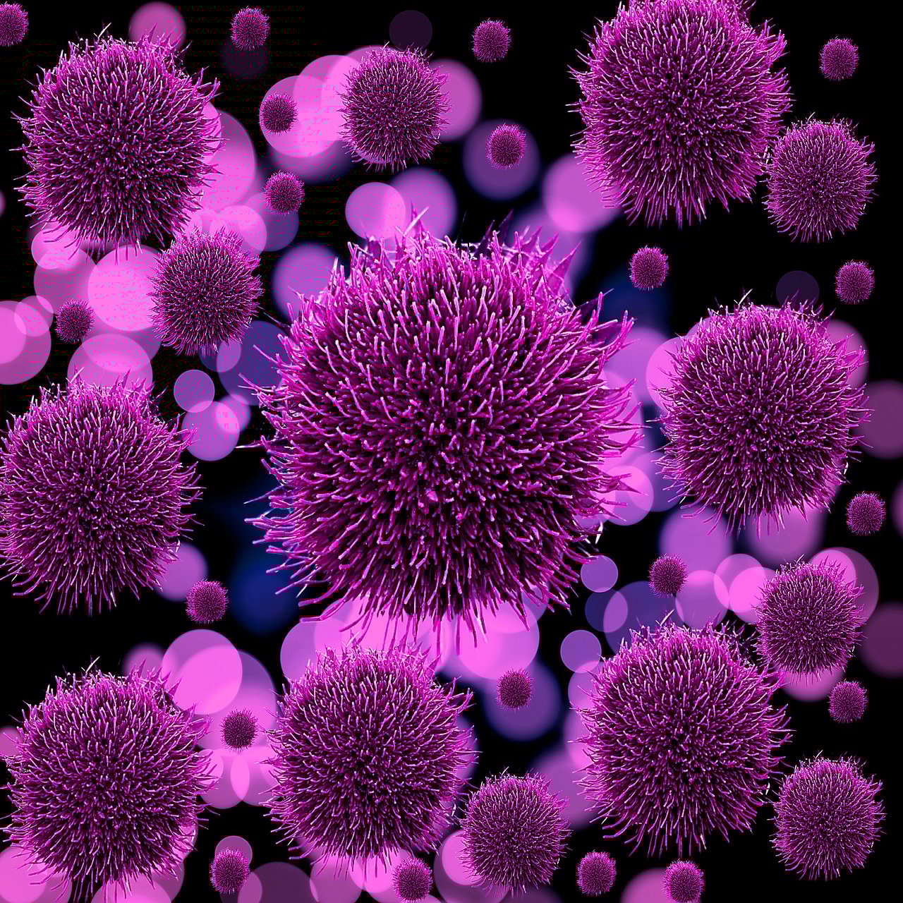 Atelier famille: Histoire de microbes