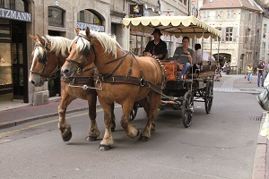 Balade en calèche (mercredi)