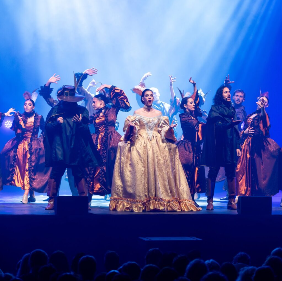 CYRANO DE BERGERAC LA COMEDIE MUSICALE