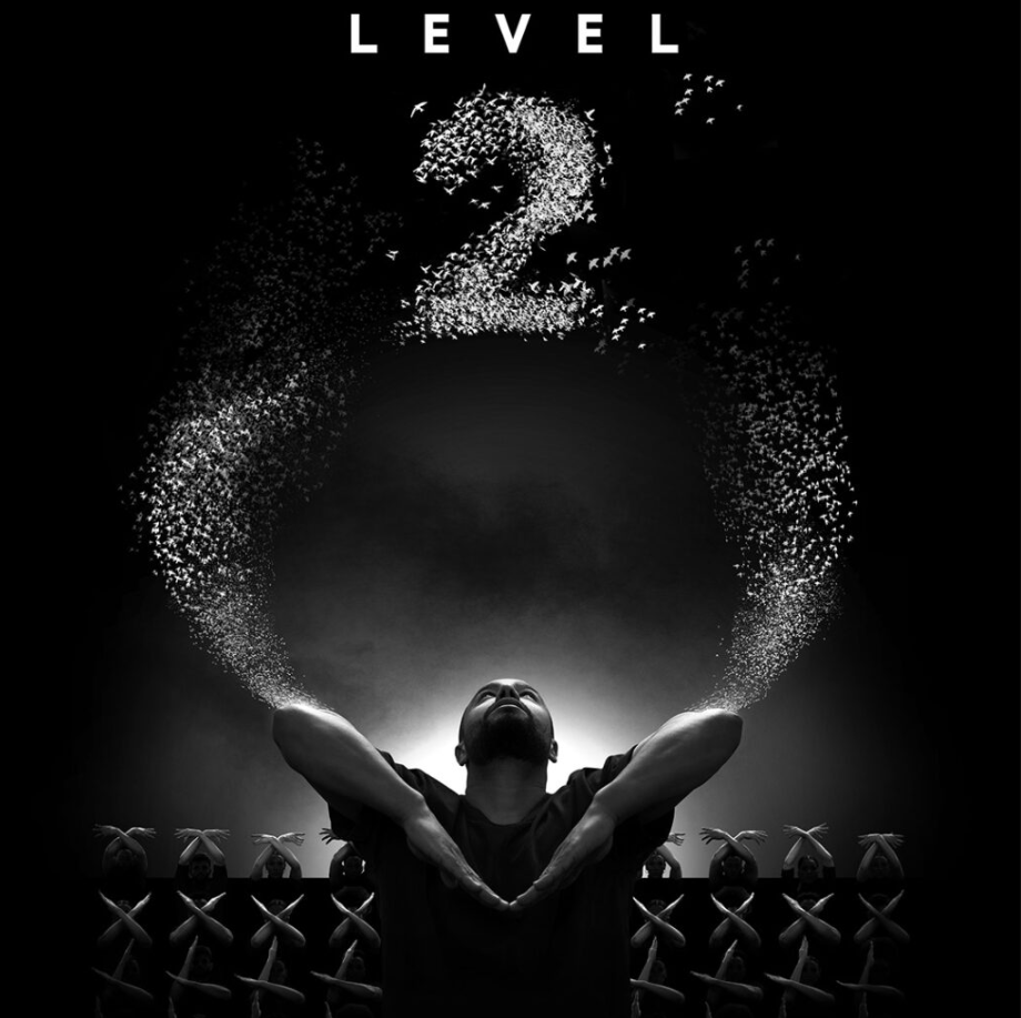 Murmuration Level 2