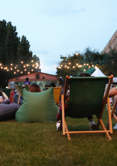 Ciné plein air - Vice-Versa 2