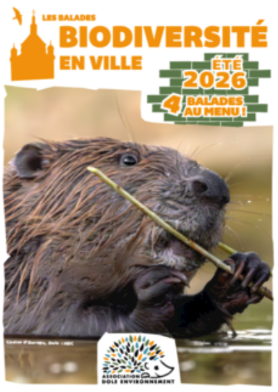 Biodiversité en ville - la Nocturne
