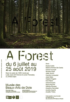 A Forest