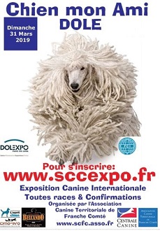 Chien mon ami - Exposition Canine Internationale